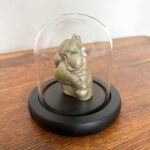 Der 3D-Abdruck einer Hundepfote aus Gips in Gold präsentiert in einer Glasglocke mit schwarzem Sockel auf einem Holztisch.